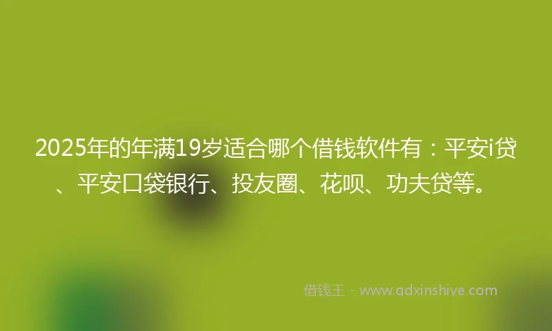 2025年的年满19岁适合哪个借钱软件有：平安i贷、平安口袋银行、投友圈、花呗、功夫贷等。