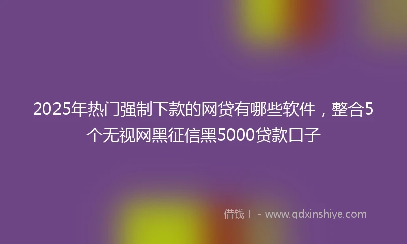 2025年热门强制下款的网贷有哪些软件，整合5个无视网黑征信黑5000贷款口子