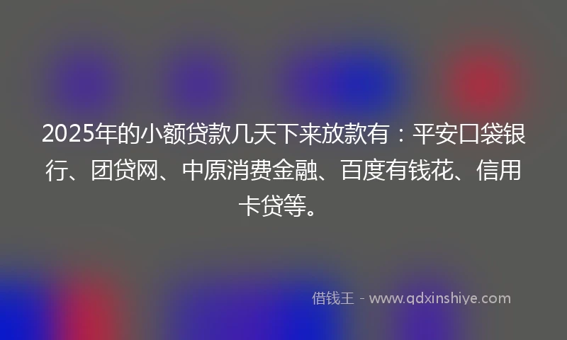 2025年的小额贷款几天下来放款有：平安口袋银行、团贷网、中原消费金融、百度有钱花、信用卡贷等。