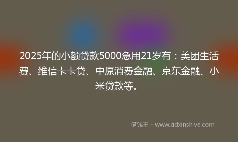 2025年的小额贷款5000急用21岁有：美团生活费、维信卡卡贷、中原消费金融、京东金融、小米贷款等。