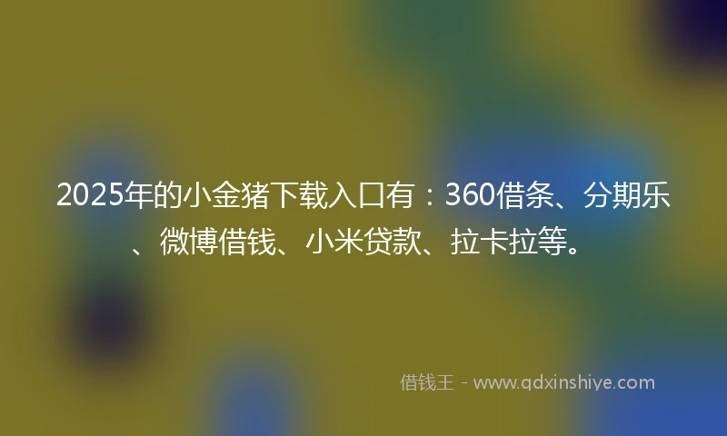 2025年的小金猪下载入口有：360借条、分期乐、微博借钱、小米贷款、拉卡拉等。