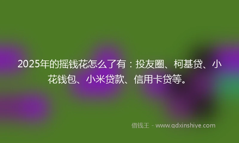 2025年的摇钱花怎么了有：投友圈、柯基贷、小花钱包、小米贷款、信用卡贷等。