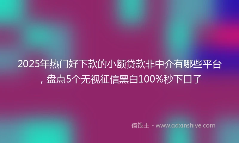 2025年热门好下款的小额贷款非中介有哪些平台，盘点5个无视征信黑白100%秒下口子