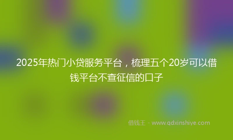2025年热门小贷服务平台，梳理五个20岁可以借钱平台不查征信的口子