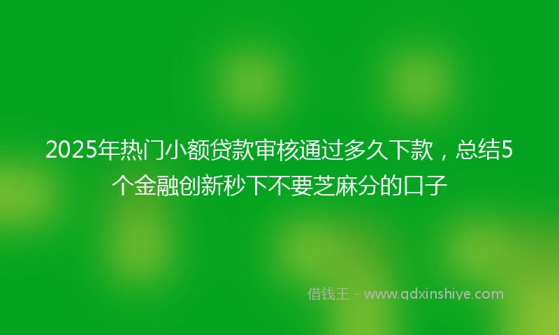 2025年热门小额贷款审核通过多久下款，总结5个金融创新秒下不要芝麻分的口子