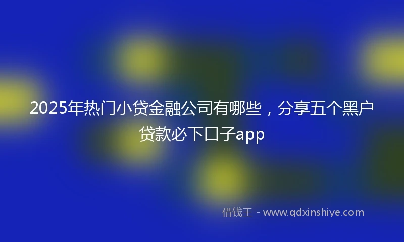2025年热门小贷金融公司有哪些，分享五个黑户贷款必下口子app