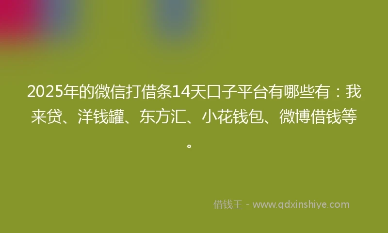2025年的微信打借条14天口子平台有哪些有：我来贷、洋钱罐、东方汇、小花钱包、微博借钱等。
