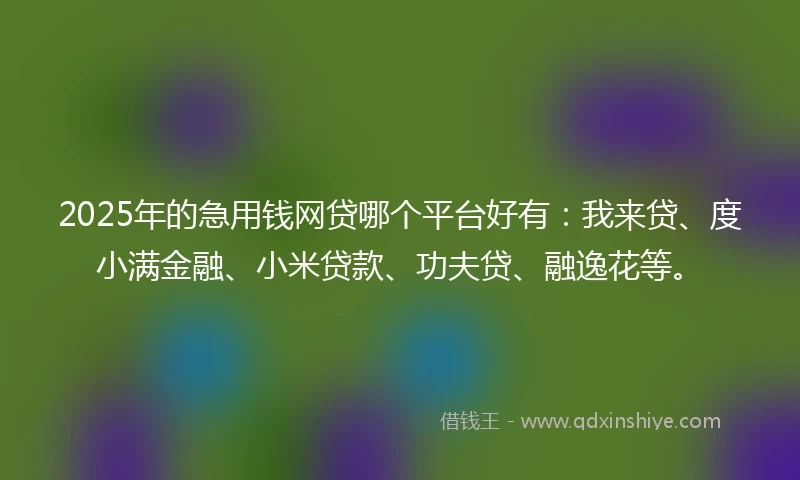 2025年的急用钱网贷哪个平台好有：我来贷、度小满金融、小米贷款、功夫贷、融逸花等。