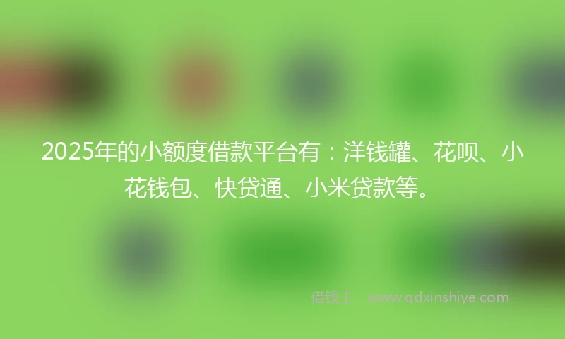 2025年的小额度借款平台有：洋钱罐、花呗、小花钱包、快贷通、小米贷款等。