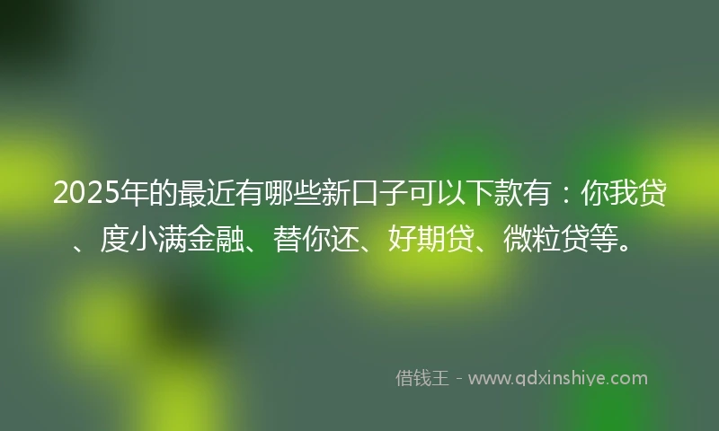 2025年的最近有哪些新口子可以下款有：你我贷、度小满金融、替你还、好期贷、微粒贷等。