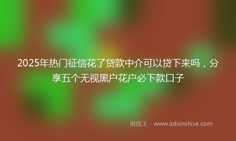 2025年热门征信花了贷款中介可以贷下来吗，分享五个无视黑户花户必下款口子