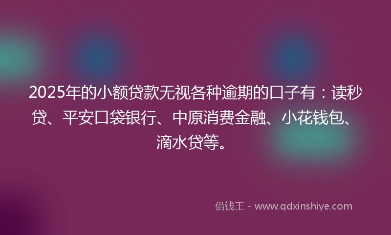 2025年的小额贷款无视各种逾期的口子有：读秒贷、平安口袋银行、中原消费金融、小花钱包、滴水贷等。