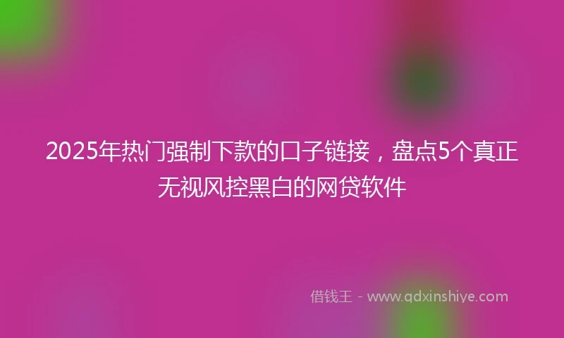 2025年热门强制下款的口子链接，盘点5个真正无视风控黑白的网贷软件