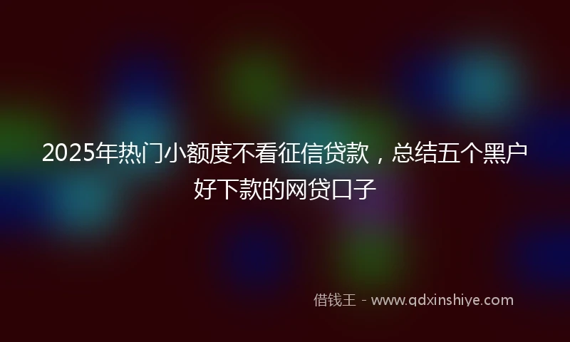2025年热门小额度不看征信贷款，总结五个黑户好下款的网贷口子