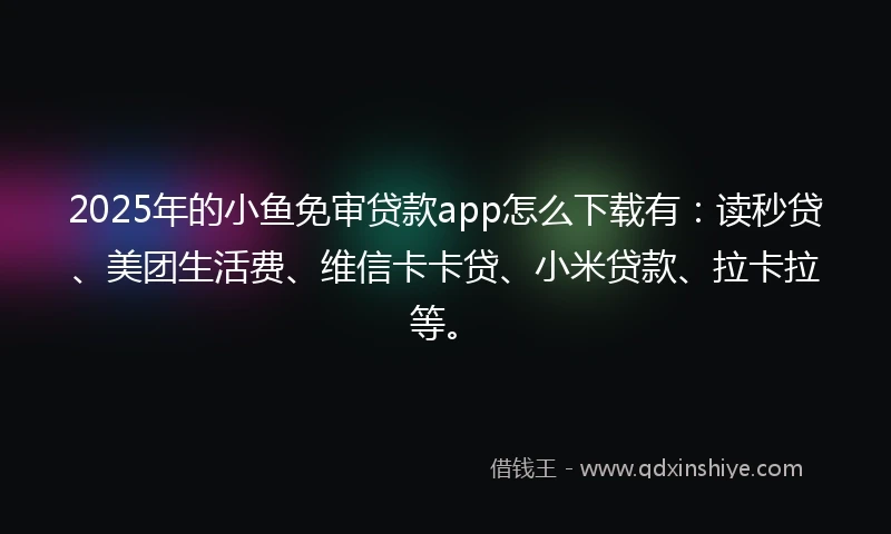 2025年的小鱼免审贷款app怎么下载有：读秒贷、美团生活费、维信卡卡贷、小米贷款、拉卡拉等。