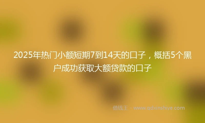 2025年热门小额短期7到14天的口子，概括5个黑户成功获取大额贷款的口子