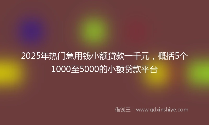2025年热门急用钱小额贷款一千元，概括5个1000至5000的小额贷款平台