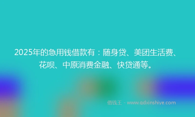 2025年的急用钱借款有：随身贷、美团生活费、花呗、中原消费金融、快贷通等。