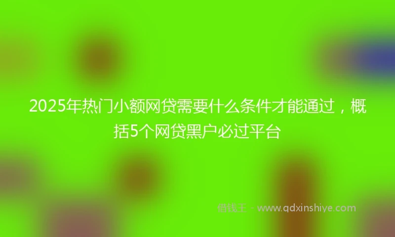 2025年热门小额网贷需要什么条件才能通过，概括5个网贷黑户必过平台