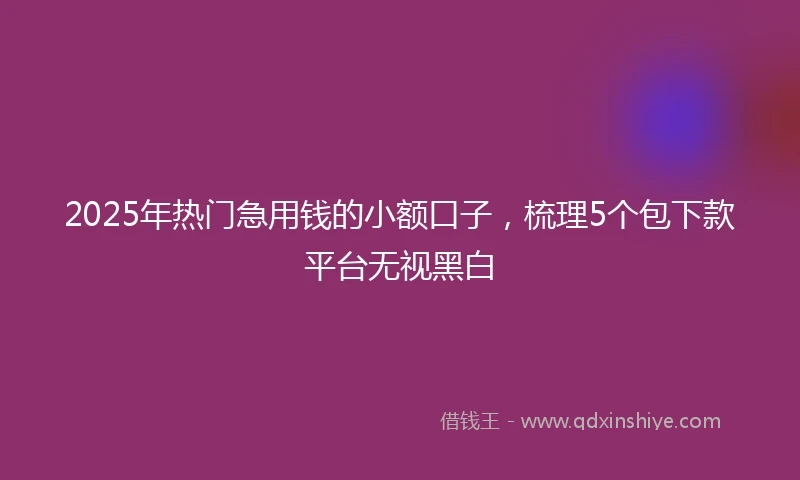 2025年热门急用钱的小额口子，梳理5个包下款平台无视黑白