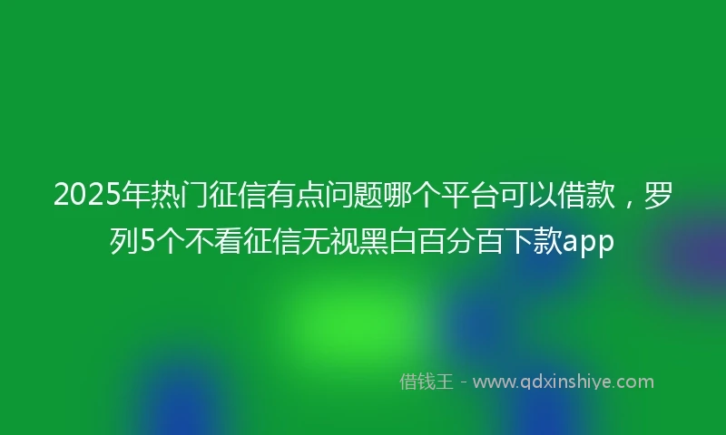 2025年热门征信有点问题哪个平台可以借款，罗列5个不看征信无视黑白百分百下款app