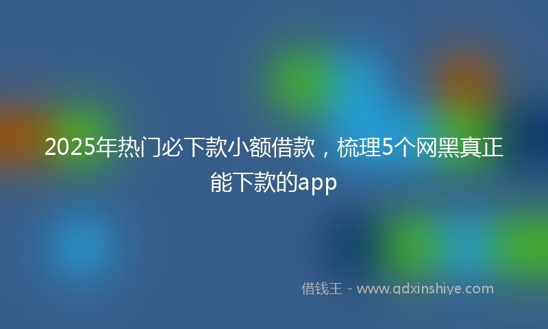 2025年热门必下款小额借款，梳理5个网黑真正能下款的app