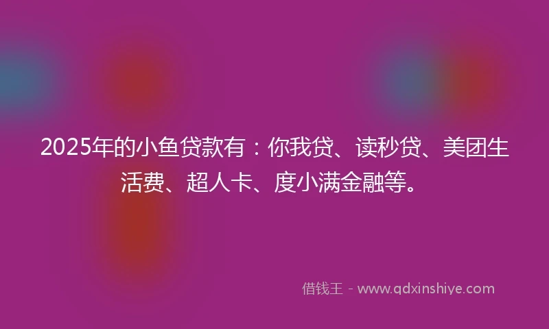 2025年的小鱼贷款有：你我贷、读秒贷、美团生活费、超人卡、度小满金融等。