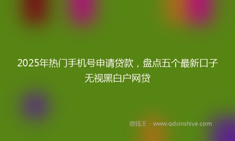 2025年热门手机号申请贷款，盘点五个最新口子无视黑白户网贷
