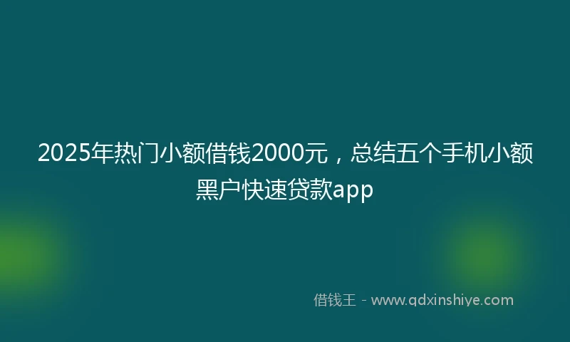 2025年热门小额借钱2000元，总结五个手机小额黑户快速贷款app