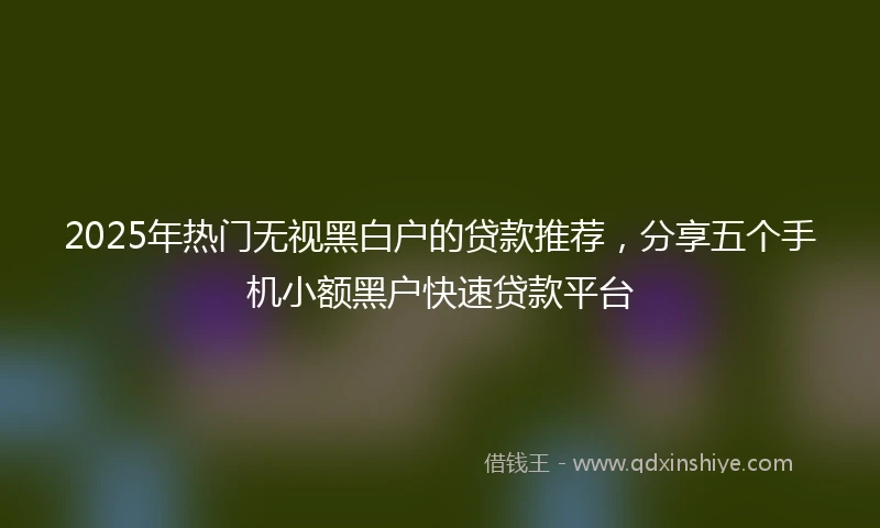 2025年热门无视黑白户的贷款推荐，分享五个手机小额黑户快速贷款平台