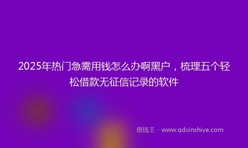 2025年热门急需用钱怎么办啊黑户，梳理五个轻松借款无征信记录的软件