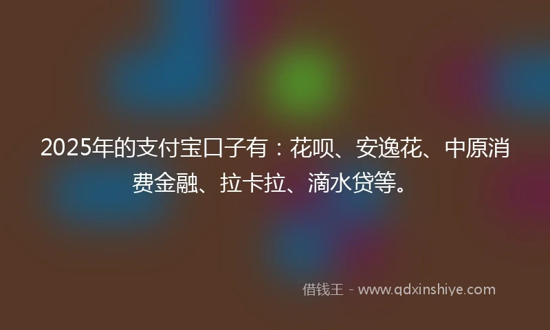 2025年的支付宝口子有：花呗、安逸花、中原消费金融、拉卡拉、滴水贷等。