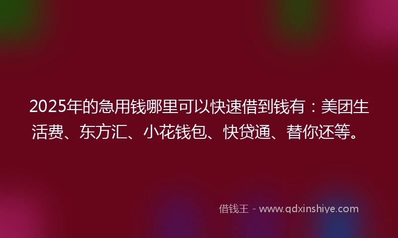 2025年的急用钱哪里可以快速借到钱有：美团生活费、东方汇、小花钱包、快贷通、替你还等。