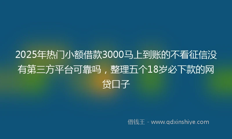 2025年热门小额借款3000马上到账的不看征信没有第三方平台可靠吗，整理五个18岁必下款的网贷口子