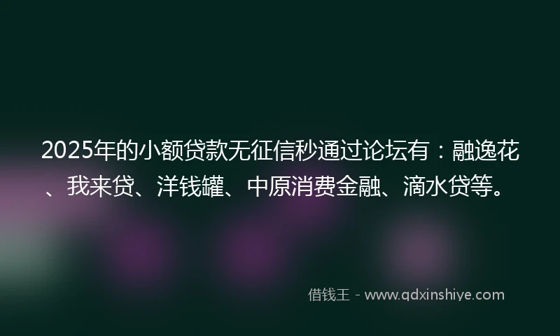 2025年的小额贷款无征信秒通过论坛有：融逸花、我来贷、洋钱罐、中原消费金融、滴水贷等。