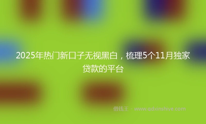 2025年热门新口子无视黑白，梳理5个11月独家贷款的平台