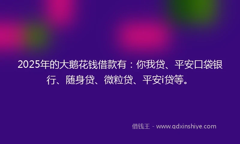 2025年的大鹅花钱借款有：你我贷、平安口袋银行、随身贷、微粒贷、平安i贷等。