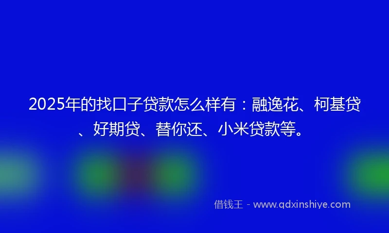 2025年的找口子贷款怎么样有：融逸花、柯基贷、好期贷、替你还、小米贷款等。