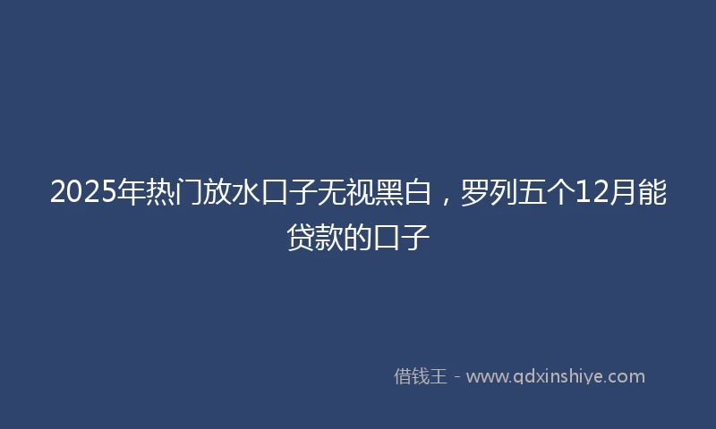 2025年热门放水口子无视黑白，罗列五个12月能贷款的口子