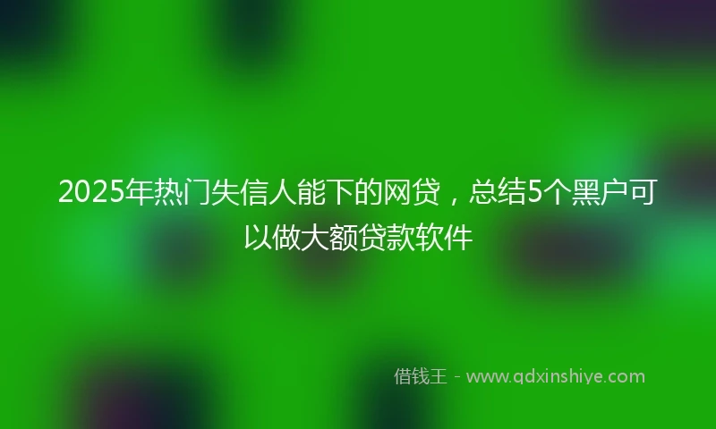2025年热门失信人能下的网贷,总结5个黑户可以做大额贷款软件