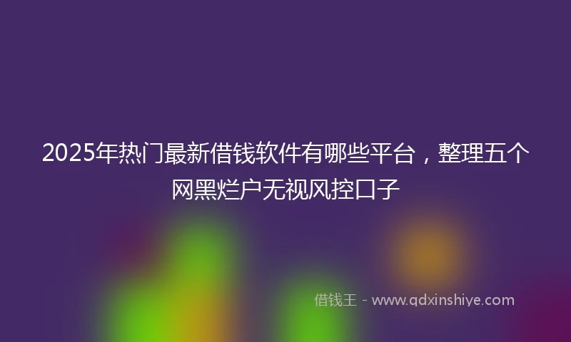 2025年热门最新借钱软件有哪些平台，整理五个网黑烂户无视风控口子
