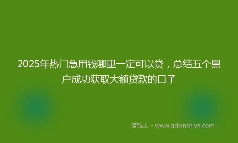 2025年热门急用钱哪里一定可以贷，总结五个黑户成功获取大额贷款的口子