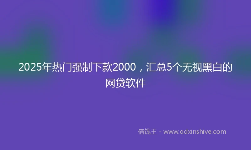 2025年热门强制下款2000，汇总5个无视黑白的网贷软件