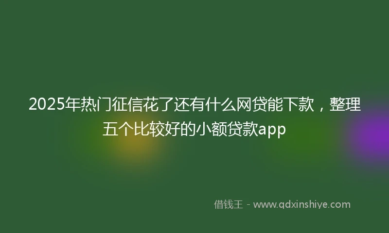 2025年热门征信花了还有什么网贷能下款，整理五个比较好的小额贷款app