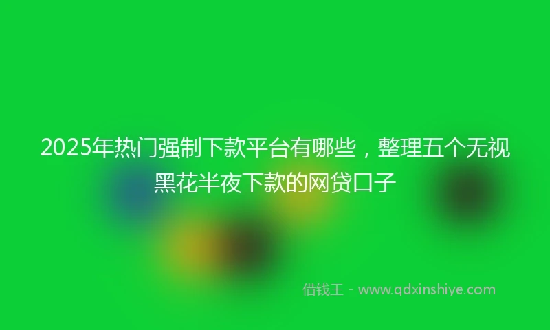 2025年热门强制下款平台有哪些，整理五个无视黑花半夜下款的网贷口子