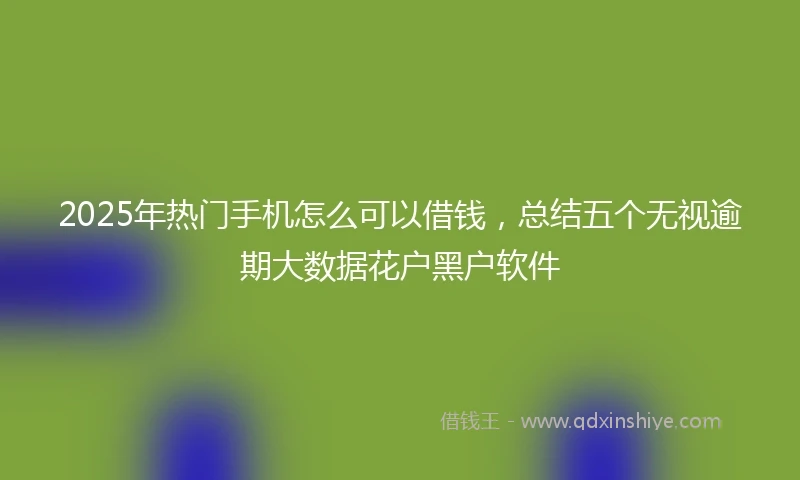 2025年热门手机怎么可以借钱，总结五个无视逾期大数据花户黑户软件
