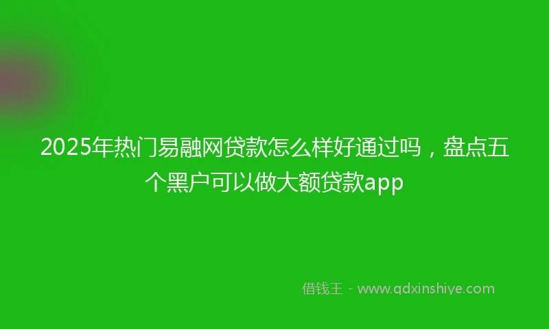 2025年热门易融网贷款怎么样好通过吗，盘点五个黑户可以做大额贷款app