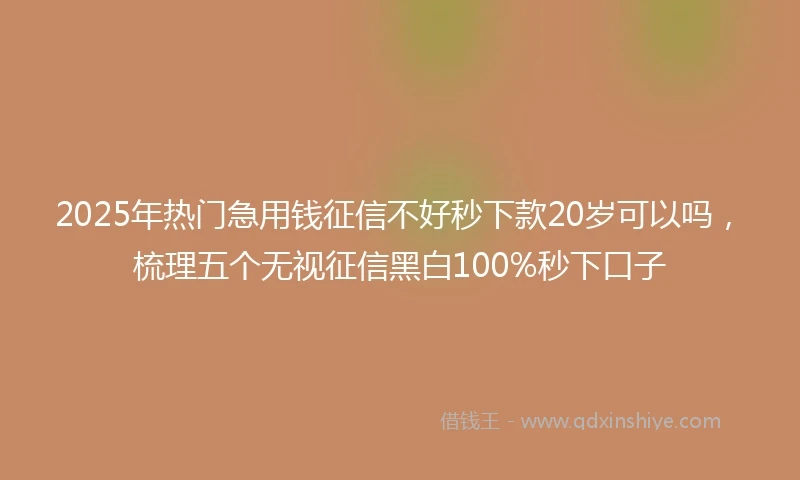 2025年热门急用钱征信不好秒下款20岁可以吗，梳理五个无视征信黑白100%秒下口子