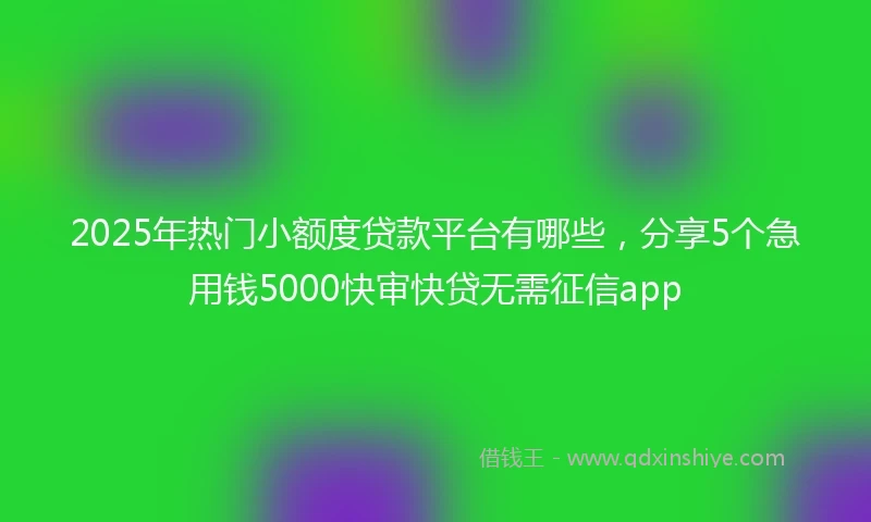 2025年热门小额度贷款平台有哪些，分享5个急用钱5000快审快贷无需征信app