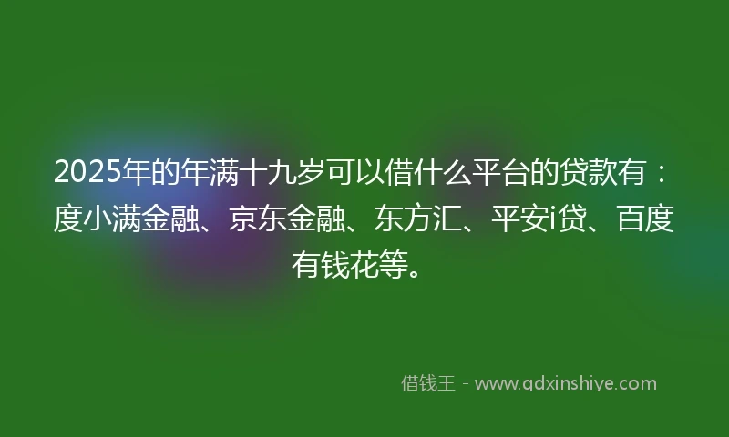 2025年的年满十九岁可以借什么平台的贷款有：度小满金融、京东金融、东方汇、平安i贷、百度有钱花等。
